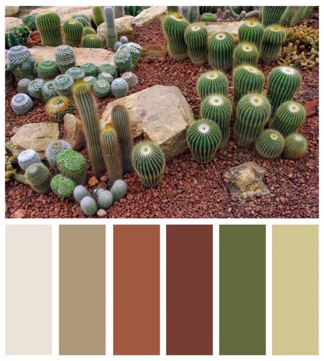 Spring preserves - Mojave Desert and Vegas inspired Color Palettes | Dzzyn Desert Bedroom, Color Scenes, Desert Color Palette, Colour Crush, Photoshop Help, Seeds Color, Desert Decor, Desert Colors, Art Colour