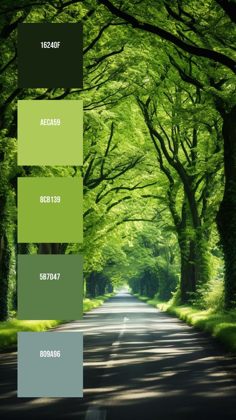 Colors:
16240F ° AECA59 ° 8CB139 ° 5B7D47 ° 809A96 Greenhouse Color Palette, Adventure Color Palette, Nature Pallet, Nature Colour Palette, Plant Color Palette, Colour Palette Green, Tree Color Palette, Nature Palette, Landscaping Logo