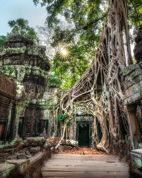 Once swallowed up by the Cambodian jungle Ta Prohm temple is now one of the most mystical places in Angkor Archaeological Park.  What made you feel in awe when visiting Cambodia? - បរសទតពរហម តរវបនពរឈជចរនគរបដណតប ហយកជបរសទដលមនអថកបងផងដរ  តអនកមនអរមមណយងណពលមកដលទន? -  #siemreapmoments by @weownthemoment  http://bit.ly/2FoS4W7  @bestofcambodia to explore the best destinations in Cambodia. . . . . . #visitseasia #bestofcambodia #seekmoments #siemreapnet #lostinangkor #angkor #cambodia #siemreap #unescowor Jungle Temple, Battambang, Temple Ruins, Ancient Temple, Mystical Places, Ancient Greek Architecture, Siem Reap, Ancient Temples, Phnom Penh