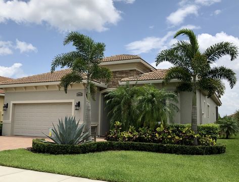 Agave Plant Landscaping Florida, Pigmy Palms Landscaping, Pygmy Palm Landscaping, Queen Palm Landscaping Front Yards, Pigmy Palm Trees Landscaping Ideas, Foxtail Palm Landscaping, Florida Home Landscaping, Pygmy Date Palm Landscaping, Palm Tree Landscape Ideas Front Yards