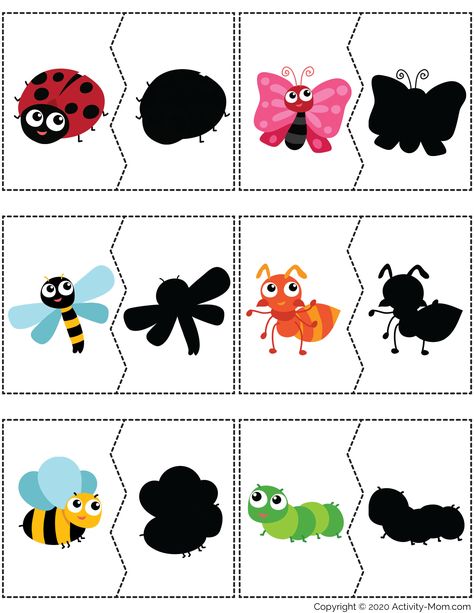 Insect Shadow Matching, Shadow Activities, Bug Activities, Insects Preschool, Shadow Matching, Bugs Preschool, Maluchy Montessori, Insect Activities, Matching Activities