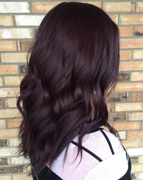 Very Dark Burgundy Brown Hair Pelo Color Borgoña, Cherry Brown Hair, Burgundy Brown Hair, Pelo Color Vino, Dark Burgundy Hair, Shades Of Burgundy Hair, Burgundy Hair Color, Maroon Hair, Black Red Hair