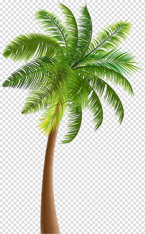 Coconut Tree Illustration, Tree Transparent Background, Coconut Tree Drawing, Palm Tree Clip Art, Palm Tree Images, Palm Tree Png, Design Quotes Art, Green Coconut, Product Background