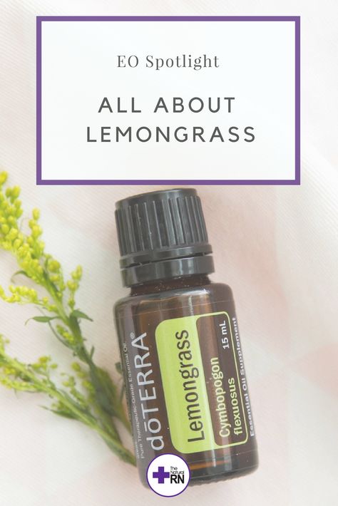 A popular digestive tonic, Lemongrass has a refreshing lemon-herb-like aroma. Lemongrass essential oil supports the health of the nervous system, promotes a cheerful mood, and tones the skin. It’s also a popular oil to use in massage to refresh and rejuvenate muscles. #ligaments #muscles #injury Lemongrass Essential Oil Blends, Lemongrass Essential Oil Benefits, Doterra Lemongrass, Lemongrass Oil, Lemon Herb, Essential Oils For Hair, Lemongrass Essential Oil, The Nervous System, Doterra Essential Oils