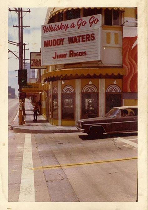 Whiskey A Go Go, Go Go Dancing, Johnny Rivers, Whisky A Go Go, Ohio History, Delta Blues, Blues Musicians, Sunset Strip, Vintage Los Angeles