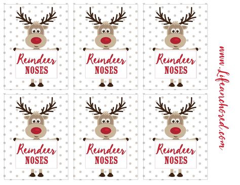 Reindeer Noses, Cartoons Movies, Xmas Art, Student Christmas Gifts, Christmas Cricut, Free Christmas Gifts, Christmas Treat Bags, Christmas Craft Fair, Reindeer Gifts