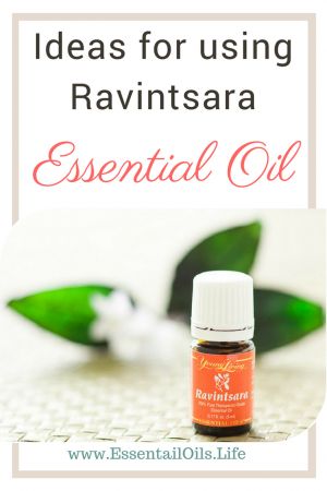 Ravintsara Essential Oil, Diffuser Diy, Diy Essential Oil Recipes, Essential Oils For Pain, Essential Oils For Headaches, Essential Oils For Kids, Young Living Essential Oils Recipes, Bath Recipes, Essential Oils Guide