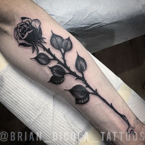 Long Stem Flower Tattoo Leg, Long Rose Tattoo, Rose And Stem Tattoo, Long Stem Rose Tattoo, Rose Stem Tattoo, Black And White Rose Tattoo, Stem Tattoo, Black And Grey Rose Tattoo, Dark Roses Tattoo