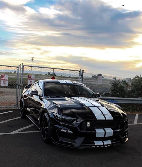 Black Mustang With Stripes, Black Camaro, Sports Cars Mustang, Mustang Gt350, Cars Mustang, Black Mustang, Chevrolet Camaro Zl1, Camaro Zl1, Mustang Shelby