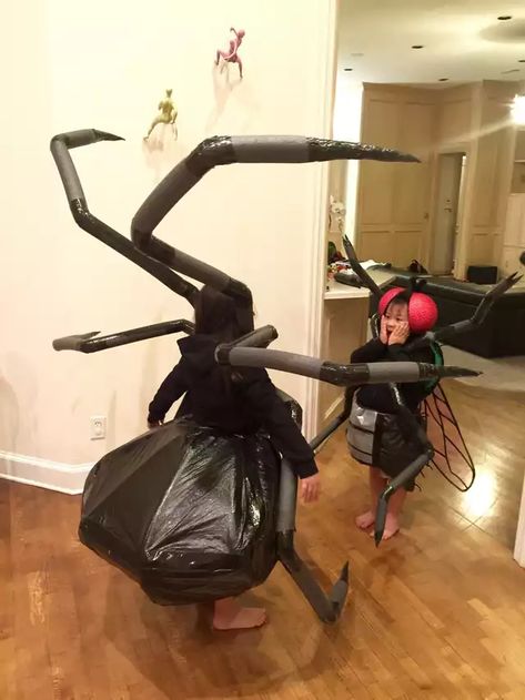 The Spider and the Fly (Halloween 2016) - Imgur Diy Black Widow Spider Costume, Spider And Fly Costume, Spider King Costume, Diy Spider Legs Costume, Kids Spider Costume Diy, Black Widow Spider Costume Women, Women Spider Costume, Spider Family Costume, Black Widow Costume Spider