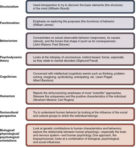 A descriptive graph that lists the various approaches in psychology. Specifically, the approaches are structuralism, functionalism, behaviorism, psychodynamic theory, cognitivism, humanism, sociocultural perspective, and biological/physiological/psychological orientations. Approaches In Psychology, Structuralism Psychology, Psychodynamic Theory, Counseling Notes, Social Work Exam, Psychology A Level, Ap Psychology, Psychology Notes, Psychology Studies