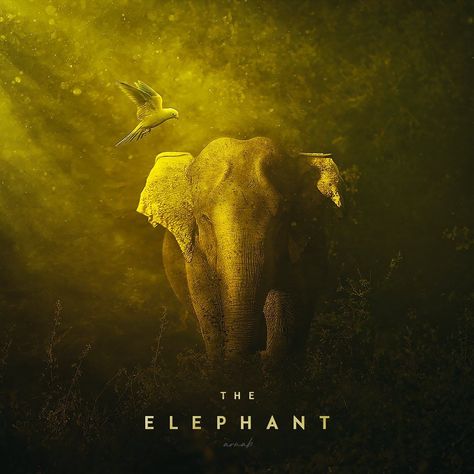 THE ELEPHANT - Poster_art✨ . #elephant #photomanupulation #poster #surreal #art #surrealart #portfolio #photoshop #poster #posterart | Instagram Elephant Poster, Photoshop Poster, Surreal Art, Surrealism, Poster Art, Elephant, Photoshop, Portfolio, Pins