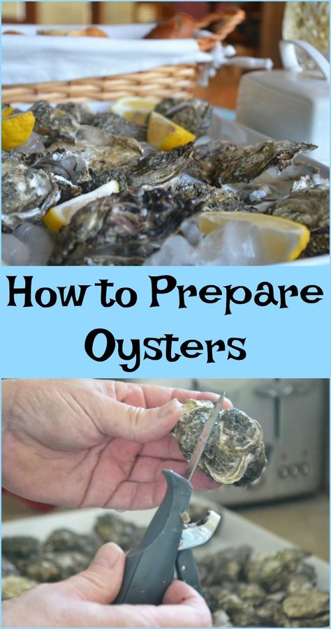 How To Make Oysters, Oyster Night, Steamed Oysters, Oyster Shucking, Cooked Oysters, Oyster Roast, Grilled Oysters, Sushi Japanese, Shucking Oysters