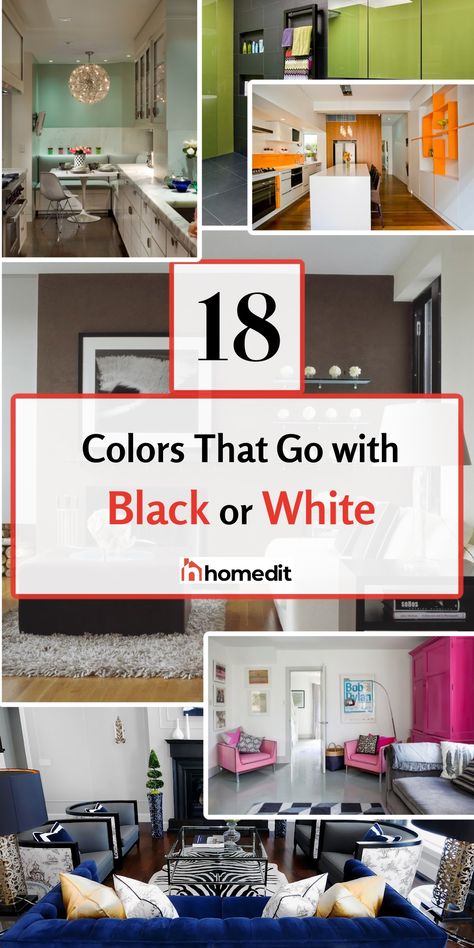 Black and white color combinations are timeless, elegant, and always in style. But what about when used separately? Black And White Colour Scheme, Black And White With Pop Of Color, White Color Combinations, Black And White Color Scheme, Cozy Apartment Decor, Black And White Furniture, White Color Scheme, Black Couches, Color Palette Living Room