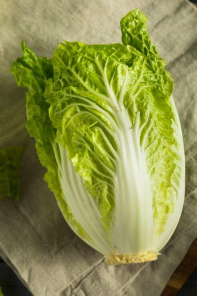 Orient Express Cabbage Care – How To Grow Orient Express Chinese Cabbage Shanghai Noodles, Cabbage Seeds, Vegetable Pictures, Asian Vegetables, Heirloom Vegetables, Napa Cabbage, Chinese Cabbage, Cabbage Salad, Different Vegetables