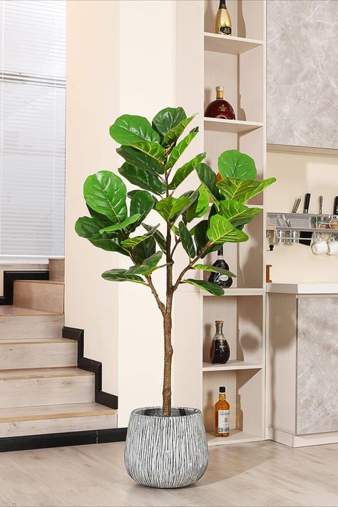 Plant Plants For Home Office, Plants For Home, Belly Basket, Ficus Lyrata, Fiddle Leaf Fig Tree, Floor Plants, Home Office Living Room, Fiddle Leaf, Fiddle Leaf Fig