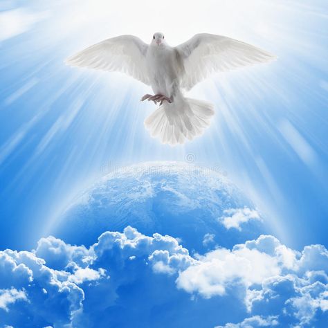 White Dove Symbol of Love and Peace Flies Above Planet Earth Stock Image - Image of gospel, religion: 87818413 Heaven Pictures, Dove Images, Holy Spirit Dove, Holy Spirit Come, Dove Pictures, Changchun, Catholic Pictures, Heaven's Gate, Jesus Christ Art