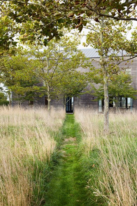 Jacobean House, Veere Grenney, Mitford Sisters, Natural Landscaping, Wild Meadow, Barn Renovation, Wooden Greenhouses, Grasses Landscaping, American Houses