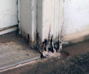 How to Repair Rotten Door Jambs and Brick Mold | Today's Homeowner Replace Exterior Door, Door Frame Repair, Rotten Wood, Garage Door Types, Water Damage Repair, Wood Repair, Door Jamb, Brick Molding, Door Casing