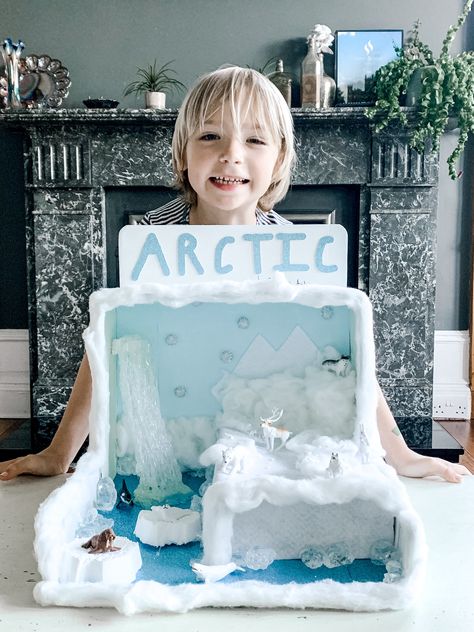 Iceberg School Project, Arctic Habitat Project, Arctic Projects For Kids, Polar Bear Diorama Project, Tundra Diorama Projects, Arctic Tundra Diorama, Arctic Ecosystem Project, Tundra Biome Project Dioramas, Arctic Habitat Diorama