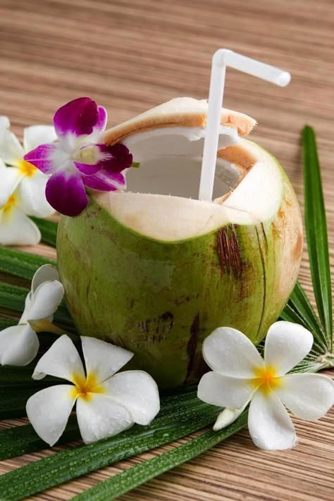 Here we go, coconut drink! I've only seen these in movies!!!! Coconut Drink, Healthy Nutrition Plan, I Need Vitamin Sea, Summer Themes, Coconut Drinks, Fiesta Tropical, Tropical Drink, Aloha Hawaii, Tropical Beaches