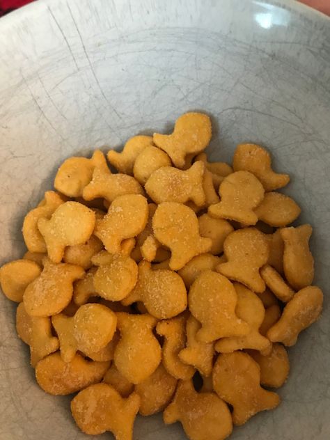 Goldfish Crackers Aesthetic, Gold Fish Food, Brandon Core, Ben Hope, Goldfish Snack, Goldfish Food, Fish Snacks, Goldfish Crackers, Soft Life