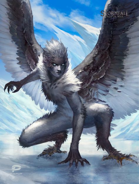 Harpy Male Character Art, Fantasy Harpy Art, Harpy Monster Art, Dnd Harpy Art, Harpies Character Design, Owl Harpy Character Design, Fantasy Humanoid Monster, Male Harpy Art, Harpy Dnd Character