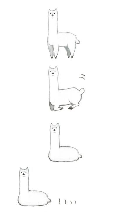 How do I respond to this? Fluffy Llama, Alpaca Drawing, Llama Farm, Llama Drawing, Fiber Animals, Llama Llama, Llama Drama, Cute Llama, Animal Book