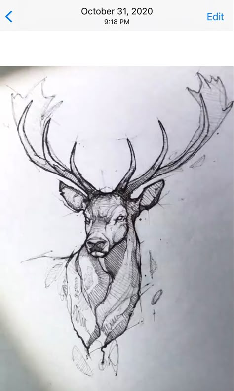 Deer Sketch, Deer Drawing, Couple Drawing, Animal Drawings Sketches, 그림 낙서, Siluete Umane, Pen Art Drawings, Sketch Artist, Desenho Tattoo