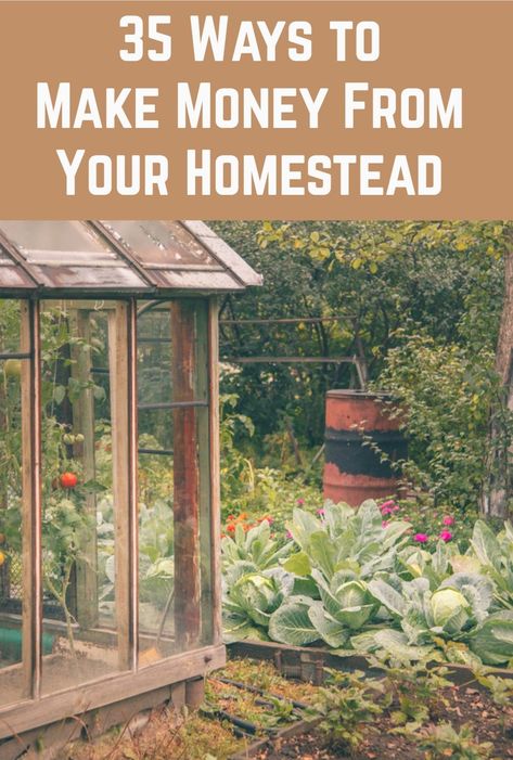 Whether your homestead consists of 50 acres or a fifth of one, here's how to make a little, or a lot, of money from yours. Homestead Business, Day Old Chicks, Homesteading Skills, Time For Yourself, A Lot Of Money, Small Farm, Ways To Make Money, Moving Out, Sell Handmade