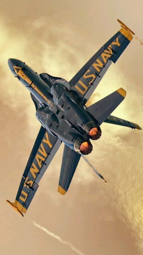 All About Aviation on Tumblr F-14d Super Tomcat, Us Navy Blue Angels, Photo Avion, Go Navy, Air Fighter, Blue Angel, Military Jets, Jet Aircraft, Jet Plane