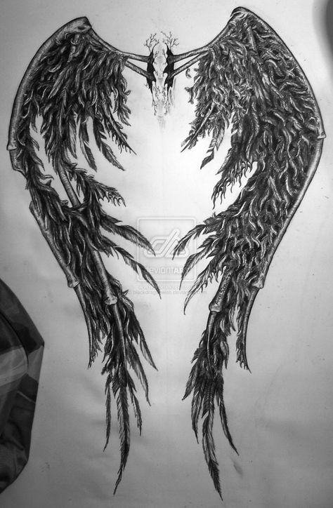 Angel Wing Tattoos, Angel Wings Tattoo On Back, Fallen Angel Wings, Wing Tattoos On Back, Fallen Angel Tattoo, Wing Tattoos, Angel Wings Drawing, Simple Tattoos For Women, Wing Tattoo Designs