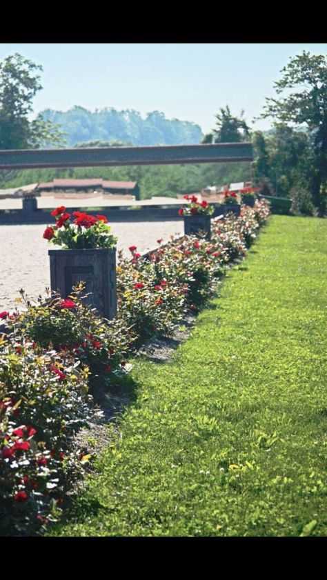 Dressage arena surrounded by beautiful flowers Outdoor Arena Horses, Outdoor Riding Arena, Equestrian Properties, Horse Pasture, Dressage Arena, Riding Arena, Horse Barn Ideas Stables, Stable Ideas, Horse Arena