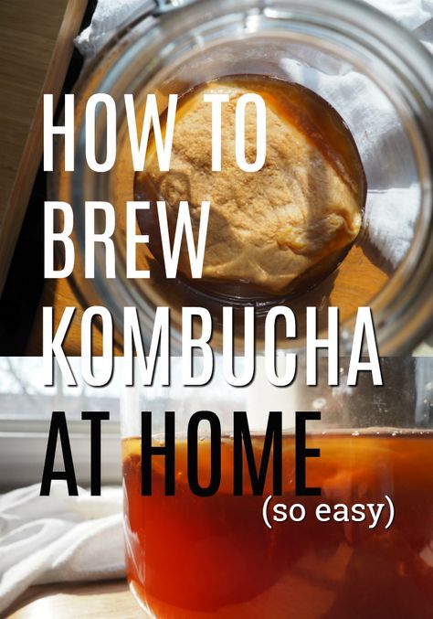 Kumbacha Recipe, Continuous Brew Kombucha, Kombucha Drink, Kombucha Scoby, How To Brew Kombucha, Kombucha Recipe, Homemade Kombucha, Detox Tea Recipe, Brewing Recipes