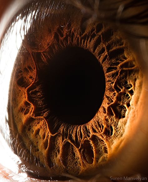 These are totally insane. Amazingly Revealing Macro Photos of the Human Eye Foto Macro, Realistic Eye Drawing, Photo Macro, Eye Close Up, Photos Of Eyes, Extreme Close Up, Realistic Eye, Macro Shots, Close Up Photography