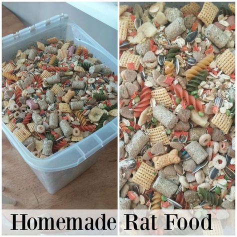 This Homemade Rat food is amazing. Your Rats will be eating like kings! Homemade Rat Food, Rat Cage Diy, Diy Rat Toys, Pet Rat Cages, Rat Food, Rattus Rattus, Rat Care, Rat House, Dumbo Rat