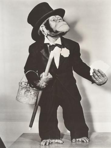 size: 24x18in Photo: Monkey Dressed as a Groom :