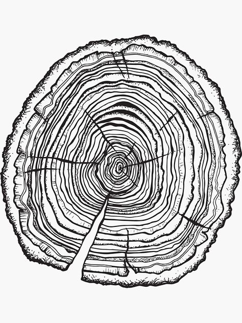 Tree Stump Tattoo Design, Oak Tree Rings, Tree Rings Drawing, Tree Ring Painting, Tree Ring Tattoo Shoulder, Tree Ring Illustration, Tree Rings Art, Tree Rings Tattoo, Wood Tattoo Ideas