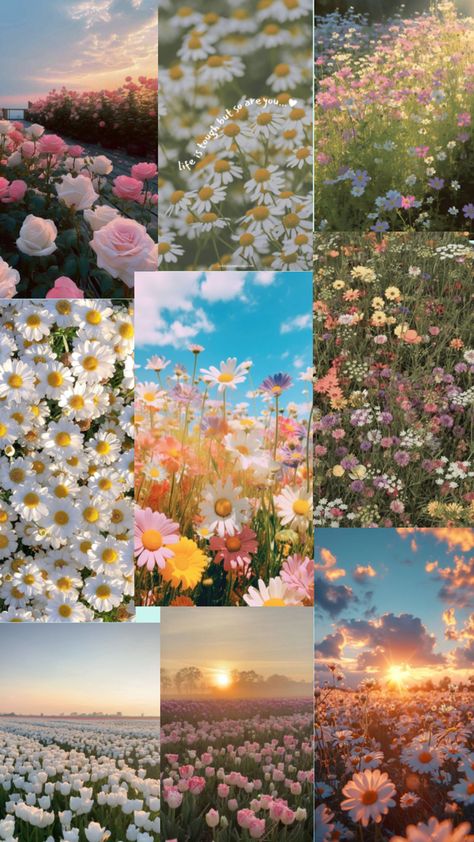 It’s a wallpaper inspired of the season spring with all types of flowers Spring Screen Savers, Spring Asthetics Photos, Spring Collage Wallpaper, S A Wallpaper, All Types Of Flowers, Season Wallpapers, Tablet Aesthetic, Spring Core, Holiday Wallpapers