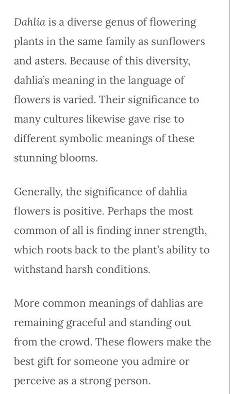 Dahlia Meaning Language Of Flowers, Black Dahlia Meaning, Black Dahlia Tattoo Meaning, Dahlia Flower Tattoo Meaning, Dahlia Tattoo Meaning, Dalia Core, Delilah Flower Tattoo, Dahlia Meaning, Dahlia Flower Meaning