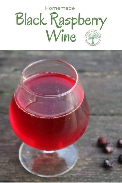 How To Make Black Raspberry Wine * The Homesteading Hippy Homestead Breakfast, Black Raspberry Recipes, Fermentation Station, Wine Types, Homemade Liquors, Wine Making Recipes, Homemade Wine Recipes, Alcohol Infusion, Raspberry Wine