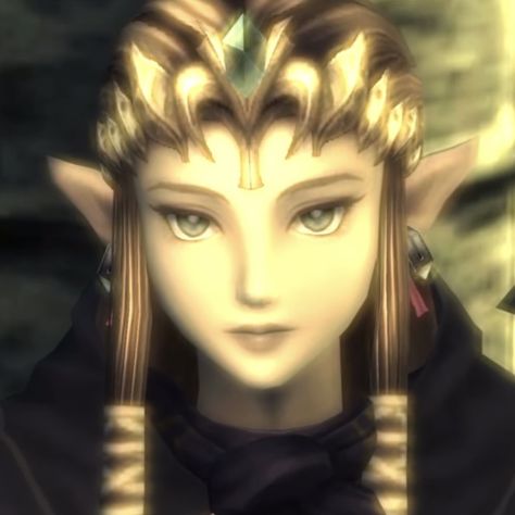 Twilight Princess Zelda Pfp, Link Pfp Twilight Princess, Legend Of Zelda Profile Picture, Zelda Twilight Princess Pfp, Twilight Princess Link Pfp, Twilight Princess Pfp, Princess Zelda Pfp, Twilight Princess Characters, Zelda Pfp