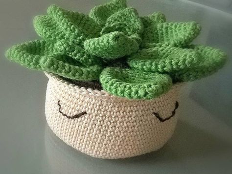 Página con todos los patrones de amigurumis gratuitos que he encontrado por Internet, entre ellos este patrón AMIGURUMI SUCULENTA y muchos más Cactus En Crochet, Plant Pot Covers, Crochet Cactus, Crochet Plant, Amigurumi Tutorial, Crochet Stitches Video, Needlework Patterns, Crochet Diy, Diy Couture