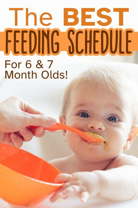 Get a printable 6 month old feeding schedule with helpful tips to use and adjust for your baby through the end of their 7th month. And, grab some bonus feeding tips that will help you safely and confidently feed your baby! 6 Month Old Feeding Schedule, Feeding Schedule For Baby, 9 Months Baby Food, 7 Month Old Baby Food, Food Schedule, 7 Months Baby Food, 9 Month Baby Food, Six Month Baby, Baby Food Schedule