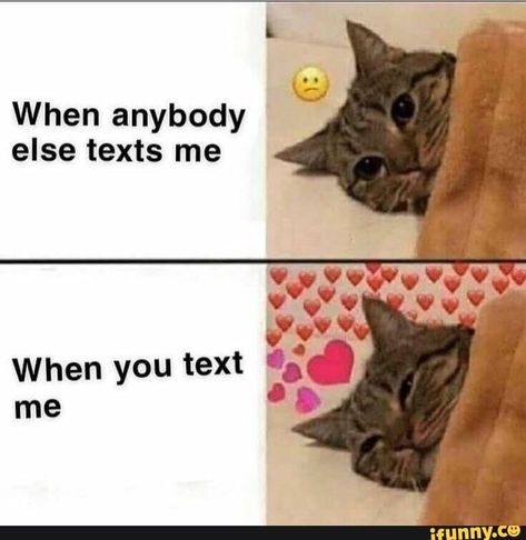 When anybody else texts me – popular memes on the site iFunny.co #textingfunnytexts #memes #when #else #texts #pic Love Memes For Him Boyfriend, Smiley Quotes, Cute Love Messages, Flirty Memes, Gf Memes, What I Like About You, Couple Memes, Memes For Him, Cute Love Memes