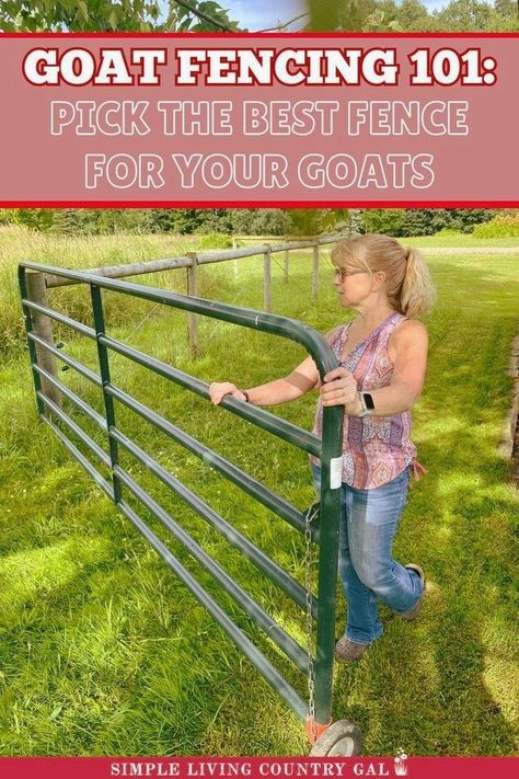 This guide on the best goat fence for your herd ensures safety from kids to bucks. Explore essential goat fence ideas, setup tips, and maintenance advice to keep your goats secure. Keep this guide handy for updates and refer to it as needed to maintain optimal fencing. Goat Pen Ideas Fencing, Goat Fence Ideas, Goat Pen Ideas, Trimming Goat Hooves, Goat Fencing, Toggenburg Goat, Nigerian Goats, Hog Wire Fence, Goat Fence