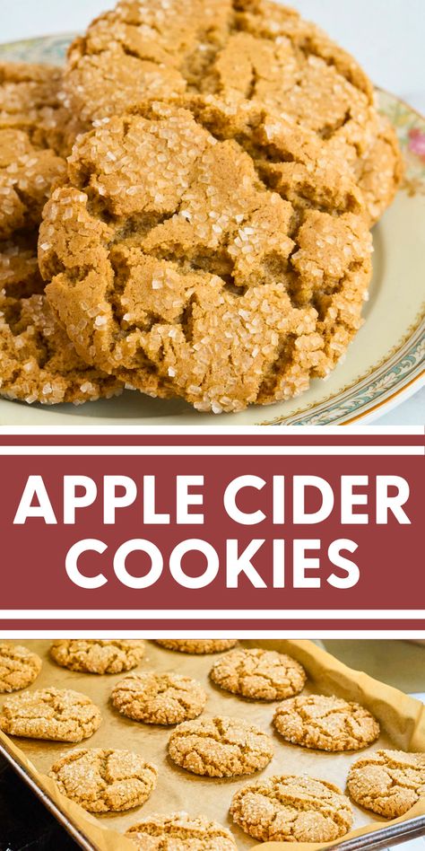 Blue Bowl Apple Cider Cookies, Apple Cider Desserts Easy, Thanksgiving Cookie Flavors, Kitchen Aid Mixer Recipes Cookies, Fall Themed Cookies Easy, Fall Bar Cookie Recipes, Spicy Cookie Recipes, What To Make With Apple Cider, Bakeless Cookies