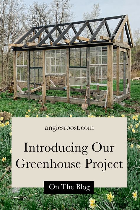 Introducing our backyard greenhouse project. We've been (slowly...oh so slowly) working on building a backyard greenhouse using some old window sash we've collected over the years. Visit the blog for a project introduction and follow along for updates as we build it. Year Around Greenhouse, Antique Window Greenhouse, Green House Old Windows, 10x10 Greenhouse, Reclaimed Window Greenhouse, Glass Window Greenhouse, Greenhouse Old Windows, Greenhouse Out Of Old Windows, Greenhouse Made From Old Windows