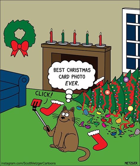 Christmas Cat Memes, Christmas Comics, Christmas Jokes, Cat Jokes, Cat Comics, Humor Grafico, Christmas Cartoons, Christmas Cat, Holiday Humor