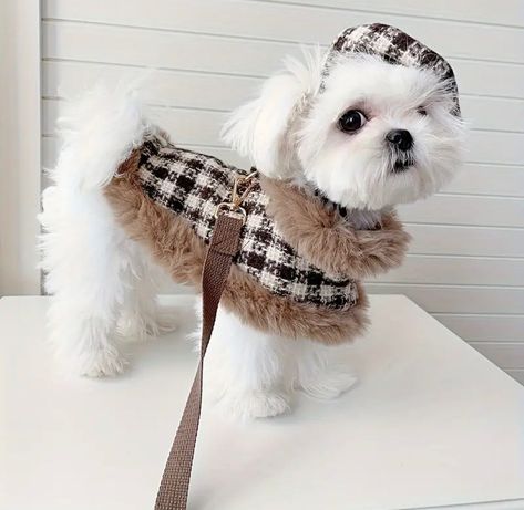 Aesthetic Dog Clothes, Dog Capes, Matching Dog And Owner Outfits, Cute Dog Outfits, Dog Clothes Patterns Sewing, Dog Fashion Clothes, Big Dog Clothes, Girl Dog Clothes, Clothes For Dogs